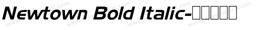 Newtown Bold Italic字体转换